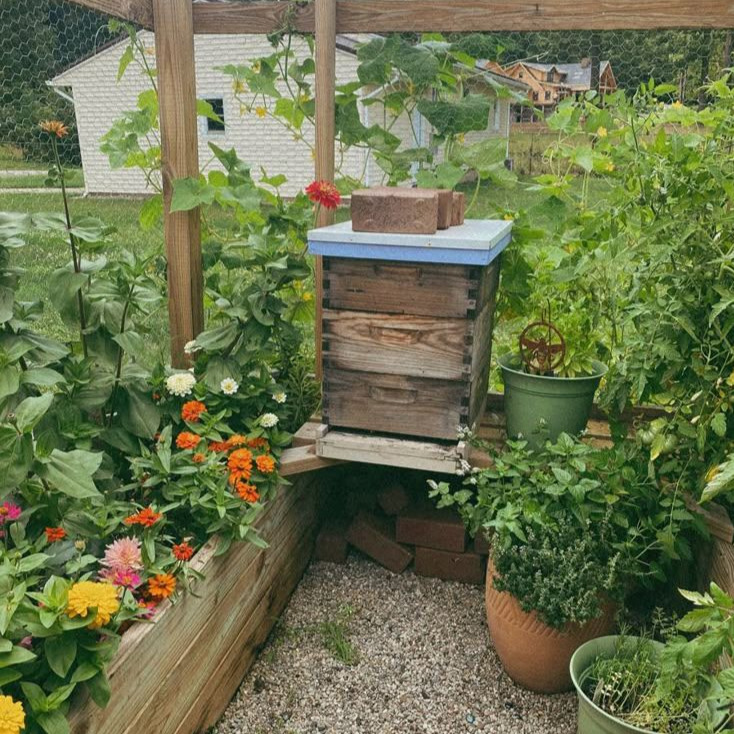 the hive, all set up